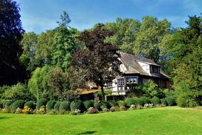 Strasbourg Tree House