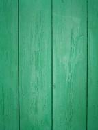 Texture Background Green