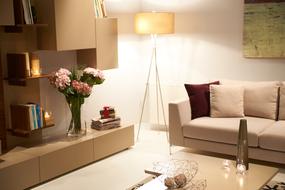 Home Furniture Armchair