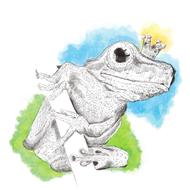 frog jumper amphibian animal