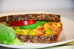 delicious sandwich with vegetables and chicken