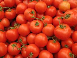 tomato harvest in a box