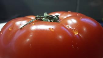 Close up of a tomato with water droplets