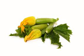 fresh cucumbers in foliage