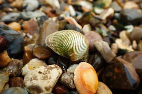 Beach Aquatic Holiday