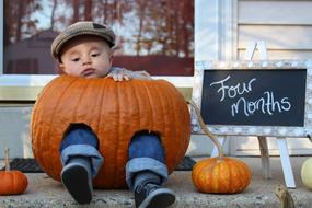 Halloween Pumpkin Fall