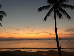 Sunrise Tropical Sky