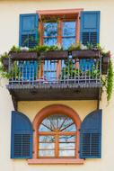 Window House Architecture