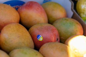 ripe sweet mangoes on sale