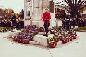 Remembrance Day Poppy Monument