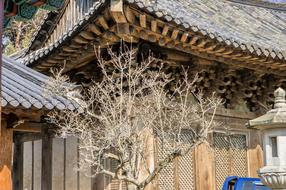 Roof Old Structure