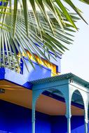 tropical leaves next to the colored roof