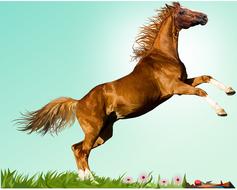horse prancing animal nature