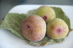 Figs Leaf Fruit