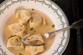 meat dumplings in broth