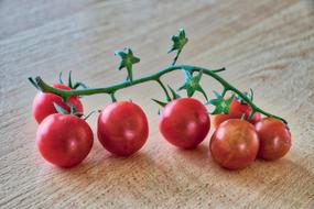 fresh tomatoes on a branch