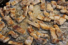 roasted slices of meat with spices