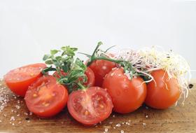 tomato halves topped with cheese