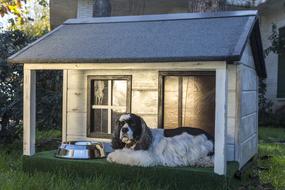 Dog Houses Wooden For Dogs