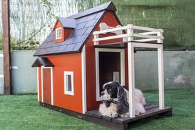 Kennels For Pets Dog Houses Wooden
