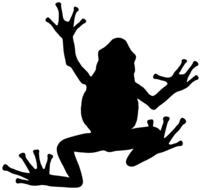 frog amphibian animal silhouette