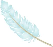 beautiful blue feather pattern
