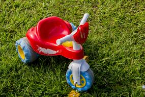 tricycle toy on grass