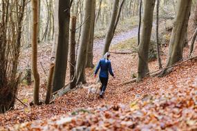 man walking his dog in an autumn forest