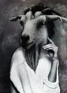 cartoon animal woman