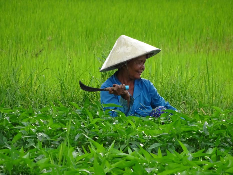 Travel Asia Cambodia