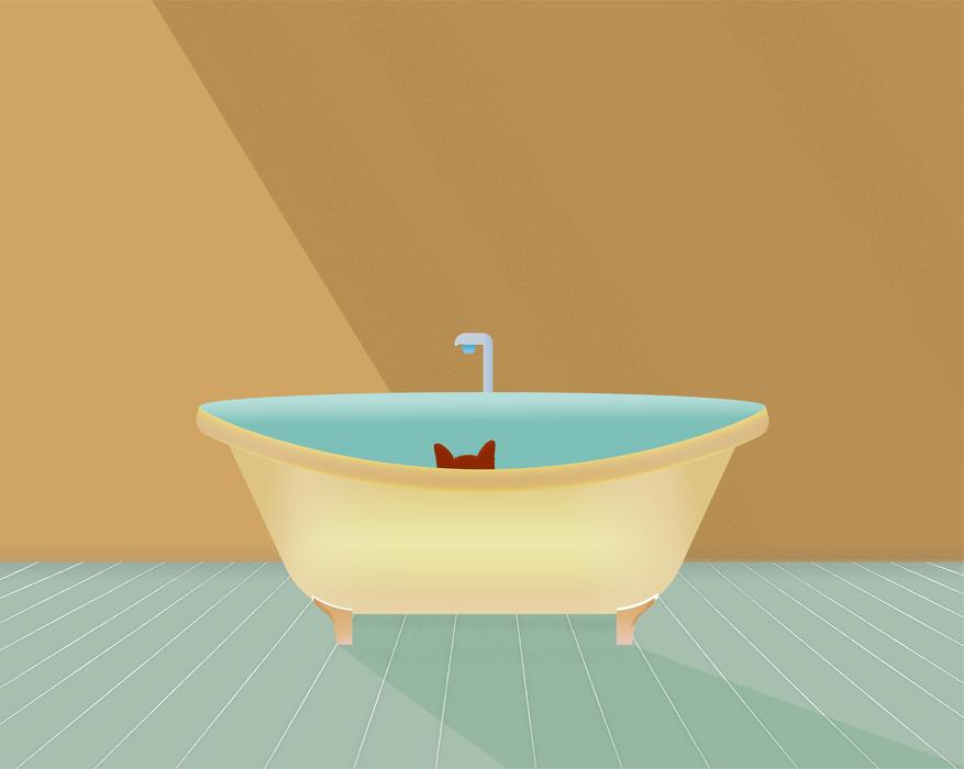 cat hide and seek game shadows