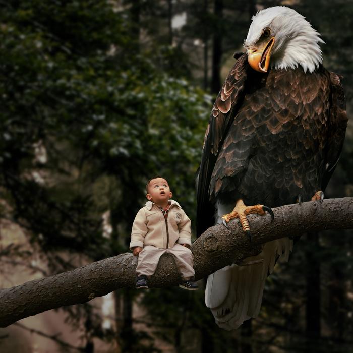 Adler Child Eagle