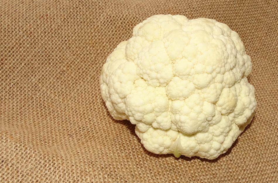 Healthy white cabbage on the table