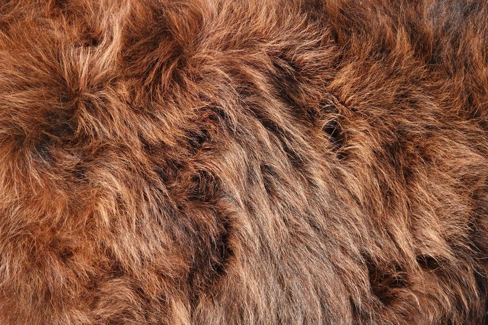 Kuhfell Red Brown Curly