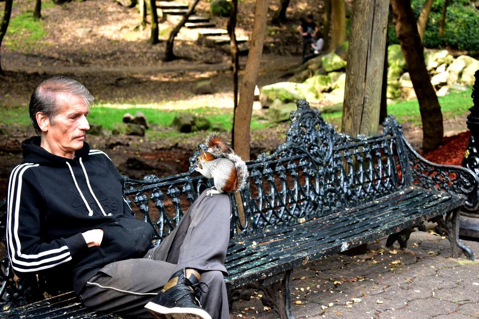 Person Squirrel Banking