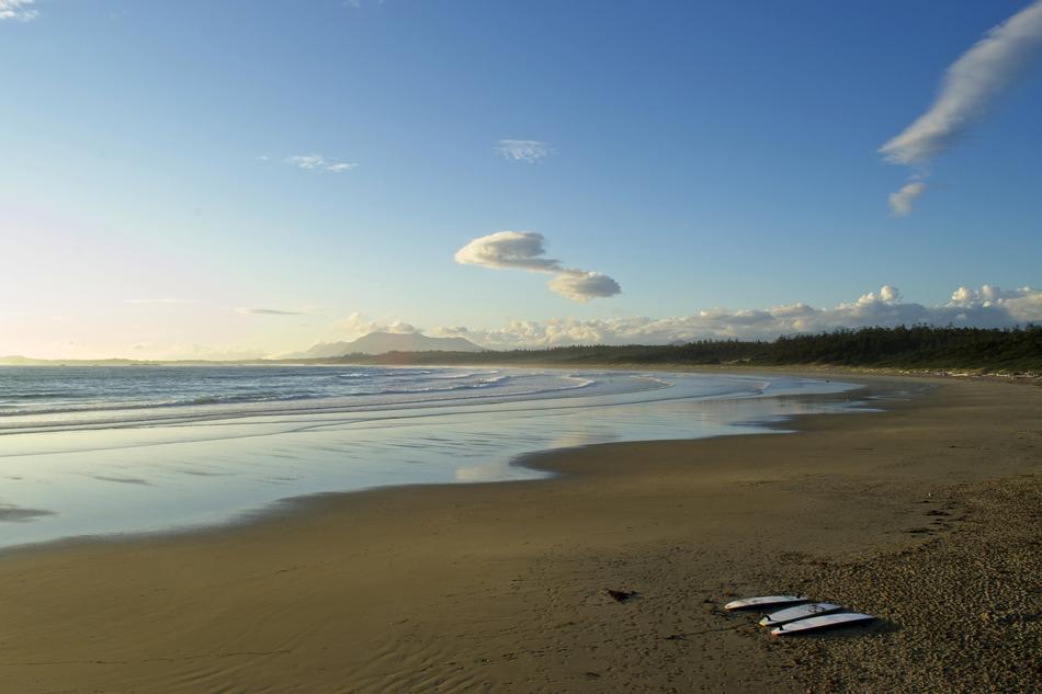 Ocean Beach Summer