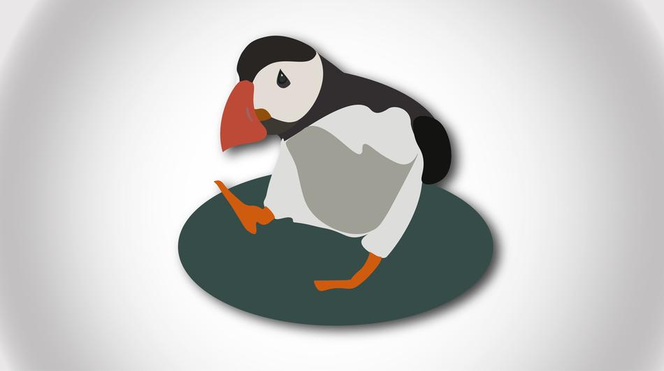 bird design art cute animal