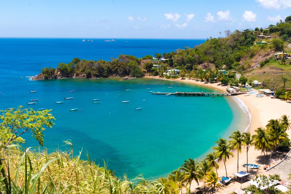 tropical ocean beach with palm trees