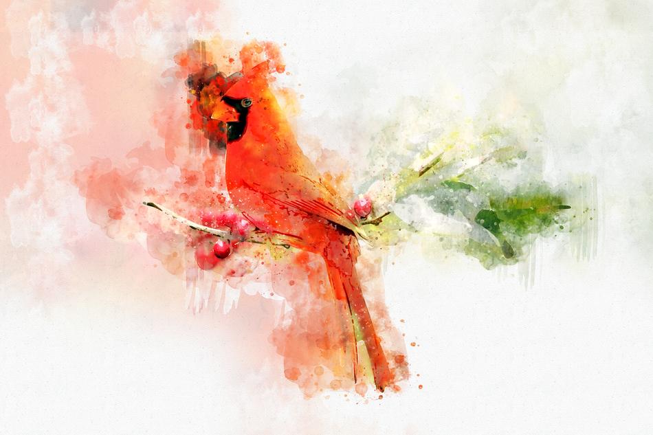 desktop splash beautiful art color