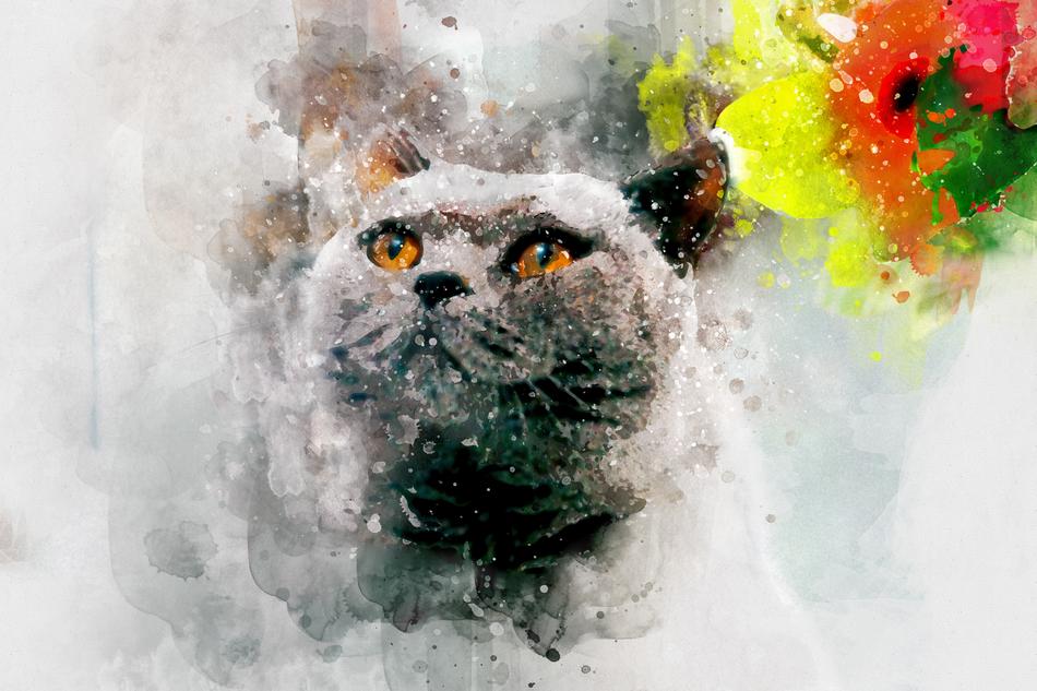 cat watercolor animal cute pet