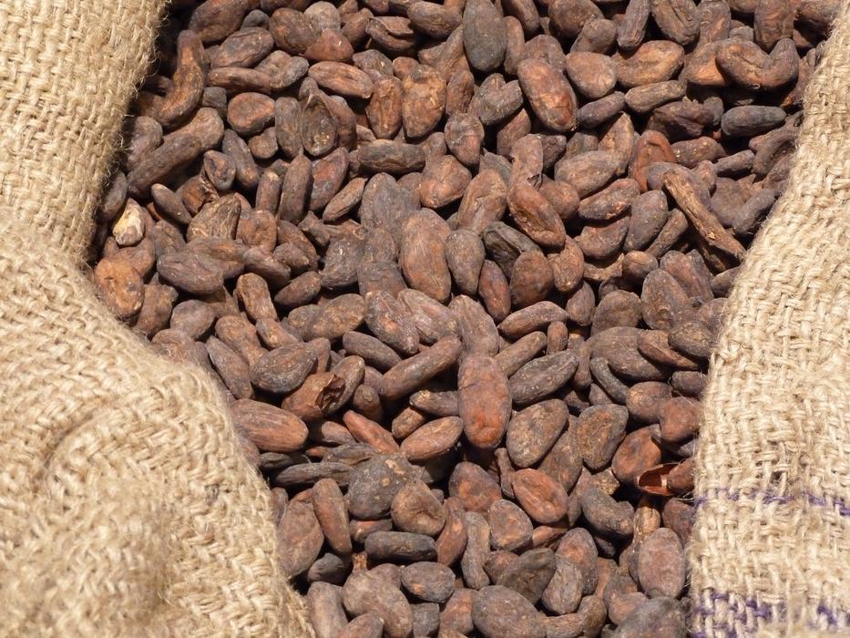roasted coffee beans in a bag