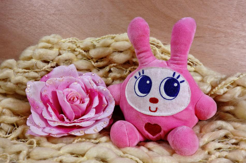 Animal Stuffed Cuddly Toy