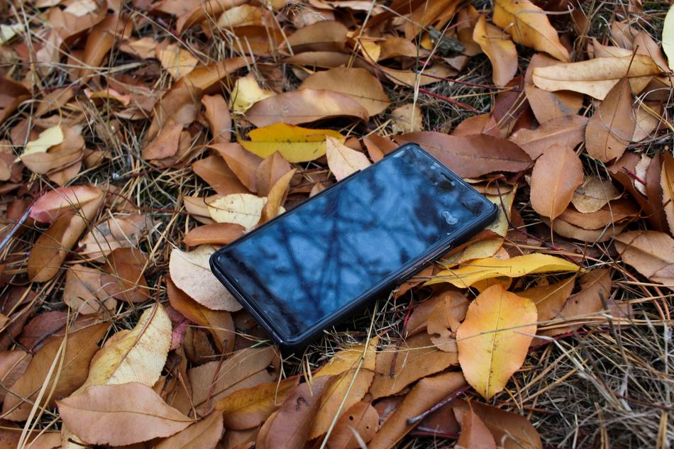 smartphone in autumn foliage