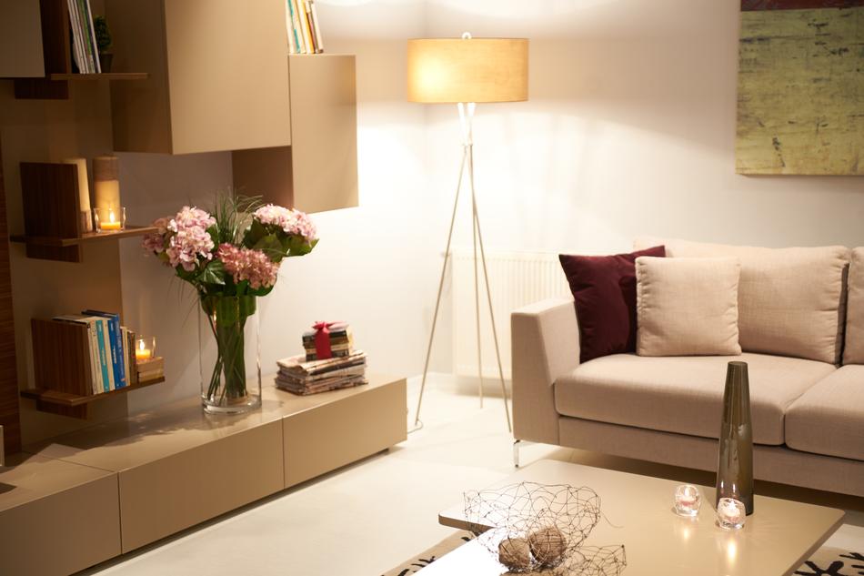 Home Furniture Armchair