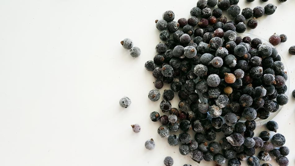 black frozen berries