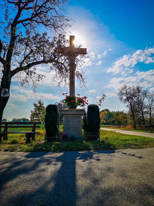 Cross Sun Autumn