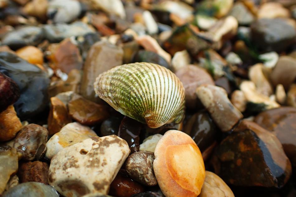 Beach Aquatic Holiday