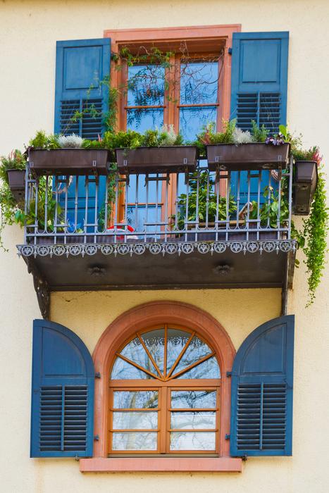 Window House Architecture