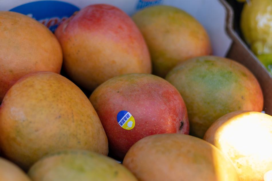 ripe sweet mangoes on sale