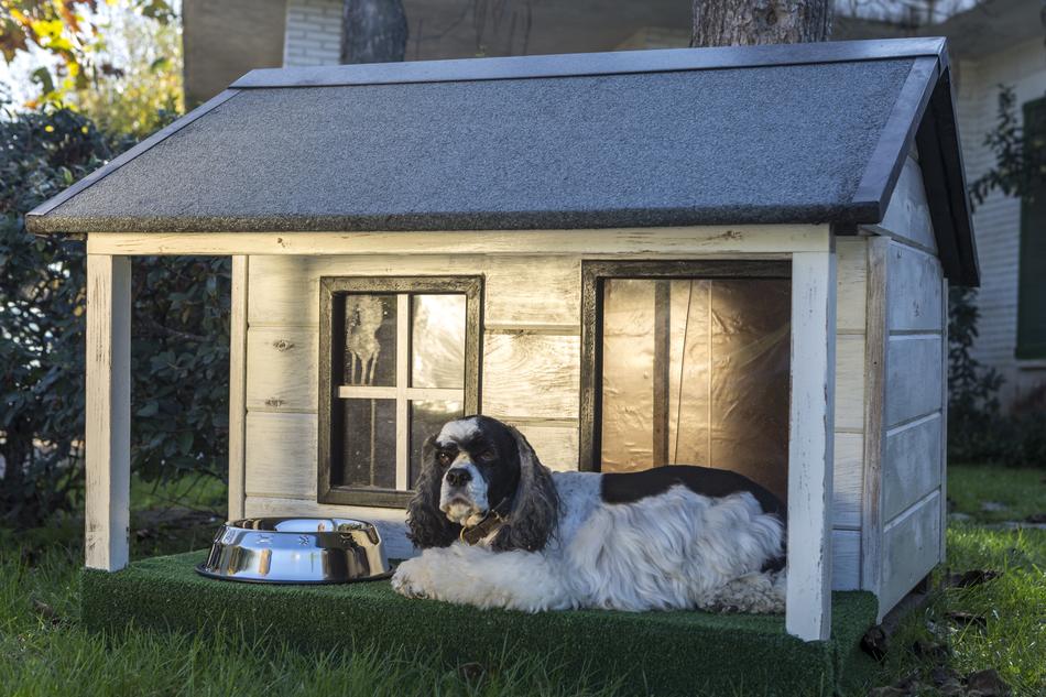 Dog Houses Wooden For Dogs